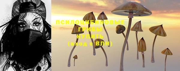 стафф Карабаш