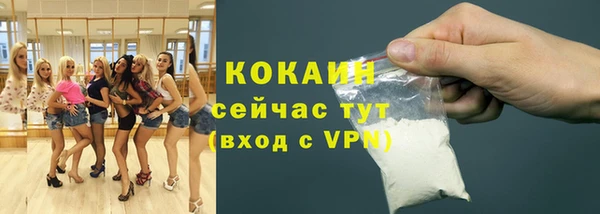 spice Няндома