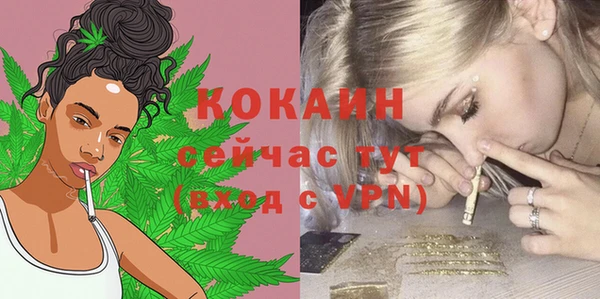 spice Няндома