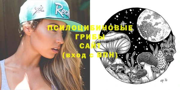 мдпв Нязепетровск