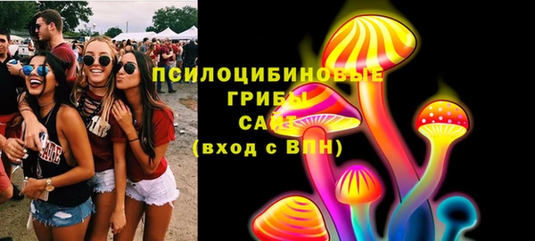 spice Няндома
