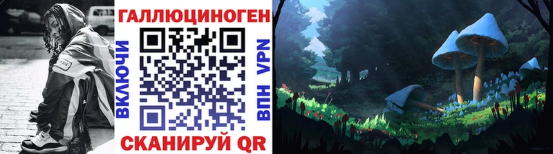 что такое   ОМГ ОМГ ТОР  Псилоцибиновые грибы Psilocybe  Катайск 